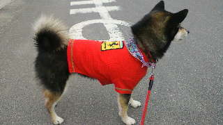 2012030417490000.jpg