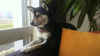 2012030421110001.jpg