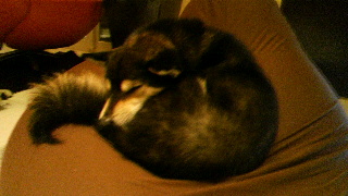 2012030421120000.jpg