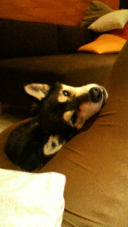 2012030421120001.jpg