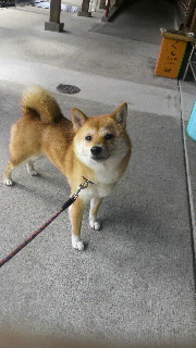 2012030518060000.jpg