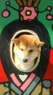 2012030518060001.jpg