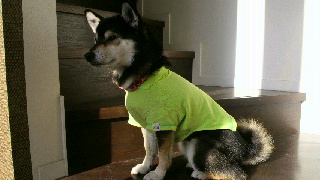 2012032205580001.jpg