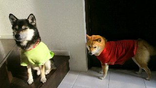 2012032208250000.jpg