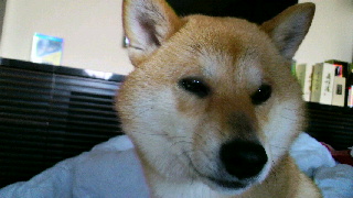 2012032517110000.jpg