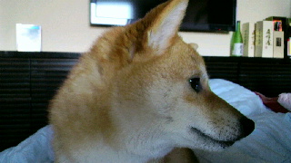 2012032517120000.jpg