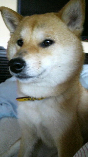 2012032517120001.jpg
