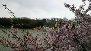 2012032520460001.jpg