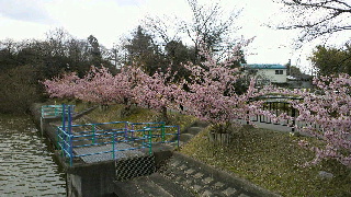 2012032520470000.jpg
