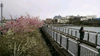 2012032520480000.jpg