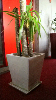 2012040707560000.jpg