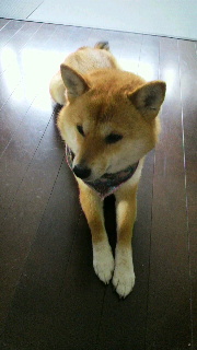 2012040707560001.jpg