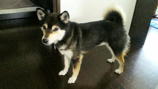 2012040707570000.jpg