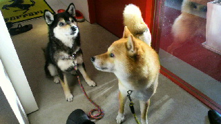 2012041009590002.jpg