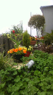 2012042210530000.jpg