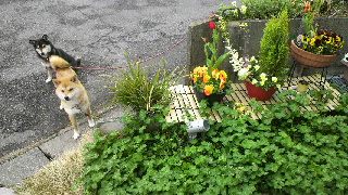 2012042210540001.jpg