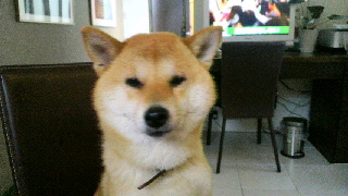 2012042307370000.jpg
