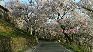 2012042419520000.jpg
