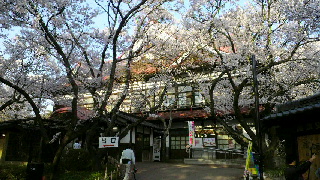 2012042419520001.jpg