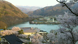 2012042419530002.jpg