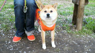 2012042419540000.jpg