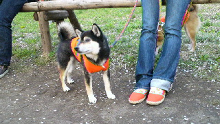 2012042419540001.jpg