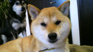 2012042500140000.jpg