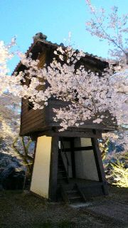 2012042605500000.jpg