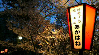 2012042605500002.jpg