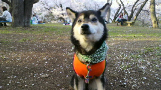 2012042607180000.jpg