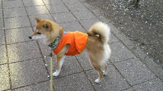 2012042607190000.jpg