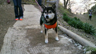2012042607190001.jpg