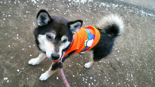 2012042607190002.jpg