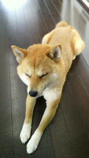 2012042907400000.jpg