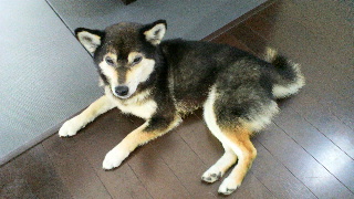 2012042907410000.jpg