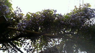 2012050219080000.jpg