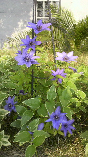2012051909530000.jpg