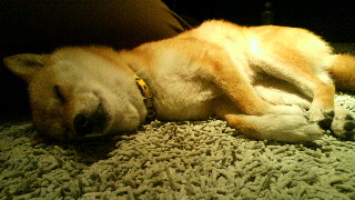 2012052305310001.jpg