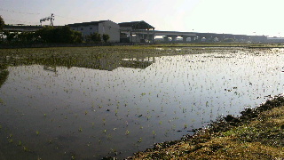 2012052405520000.jpg