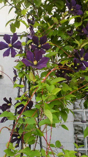 2012052405530000.jpg