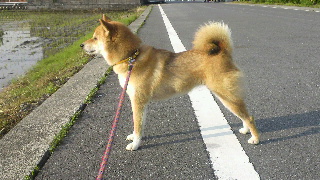 2012052406400000.jpg