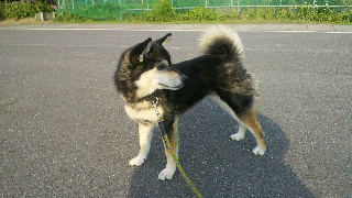 2012052406400001.jpg