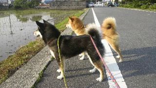 2012052406400002.jpg