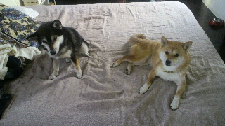 2012052512430000.jpg