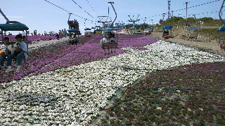 2012052613400000.jpg