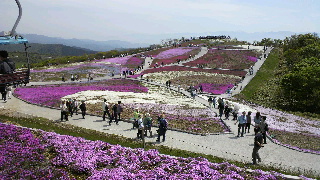 2012052613400001.jpg