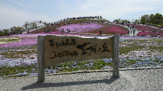 2012052613410000.jpg