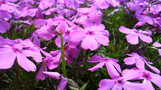 2012052613410002.jpg