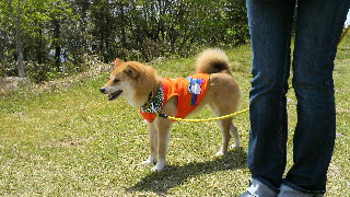 2012052613420000.jpg