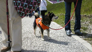 2012052613420001.jpg